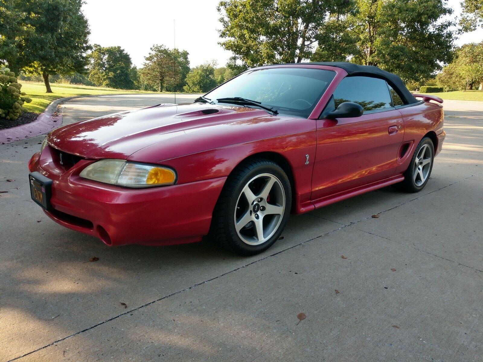 Well Maintained Ford Mustang Svt Cobra Convertible For Sale