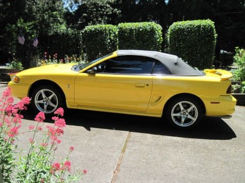 1998 Ford Mustang Cobra SVT Convertible for sale
