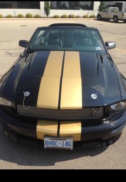 2007 Shelby Shelby GT Hertz Convertible for sale