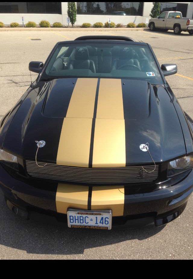 2007 Shelby Shelby GT Hertz Convertible